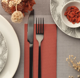 SERVIETTES CELI-OUATE